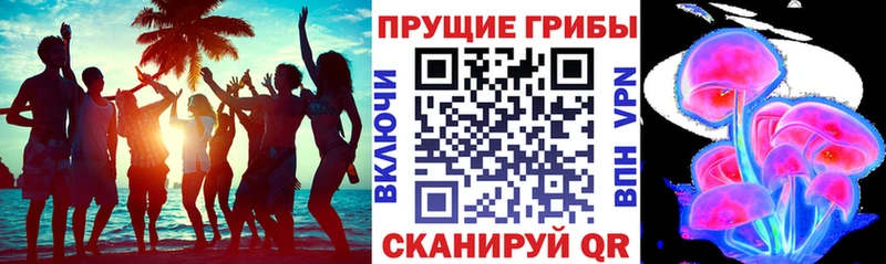 Псилоцибиновые грибы Psilocybe Сельцо