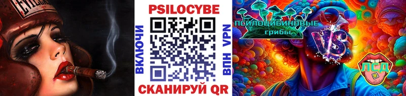 цены наркотик Сельцо Галлюциногенные грибы Psilocybe